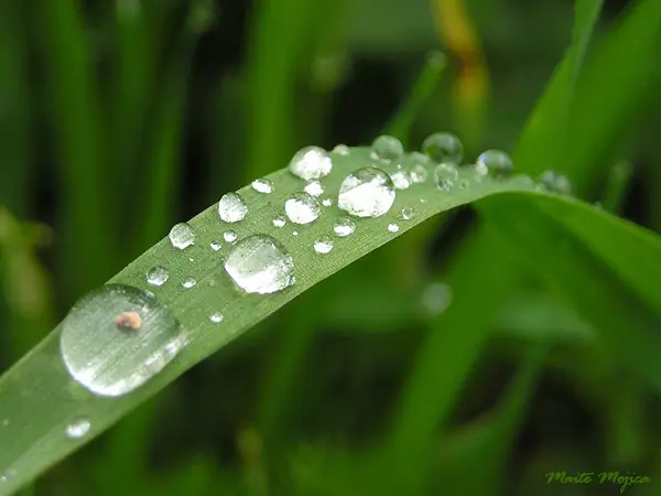 universo