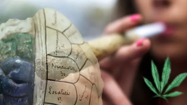 La marihuana destruye el cerebro de los jovenes