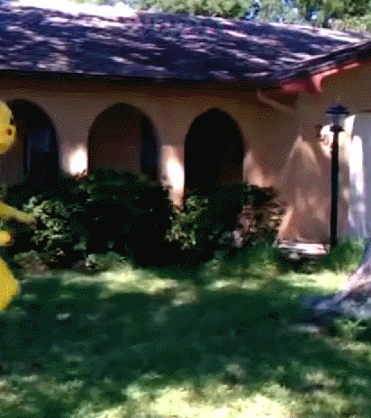 21 GIFs que resumen perfectamente la vida