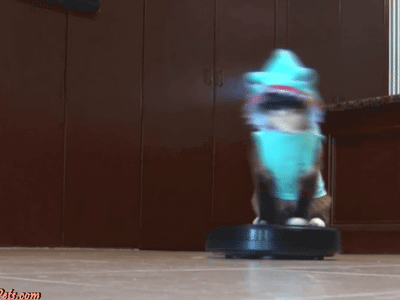 gifs