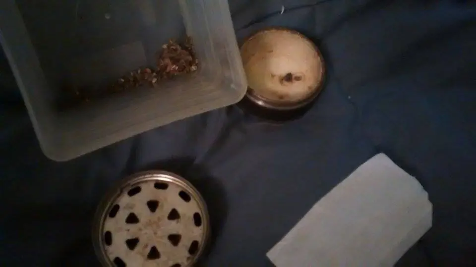 Chatie Drogado y te lo Muestro!