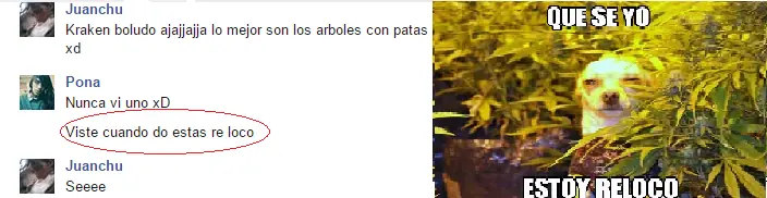 drogado drogado