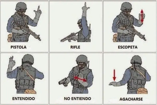 codigos