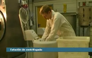condon