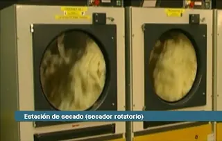 cuidado
