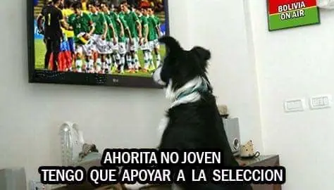 copa america