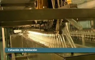 pinchado