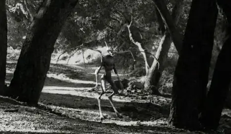 Relatos paranormales reales