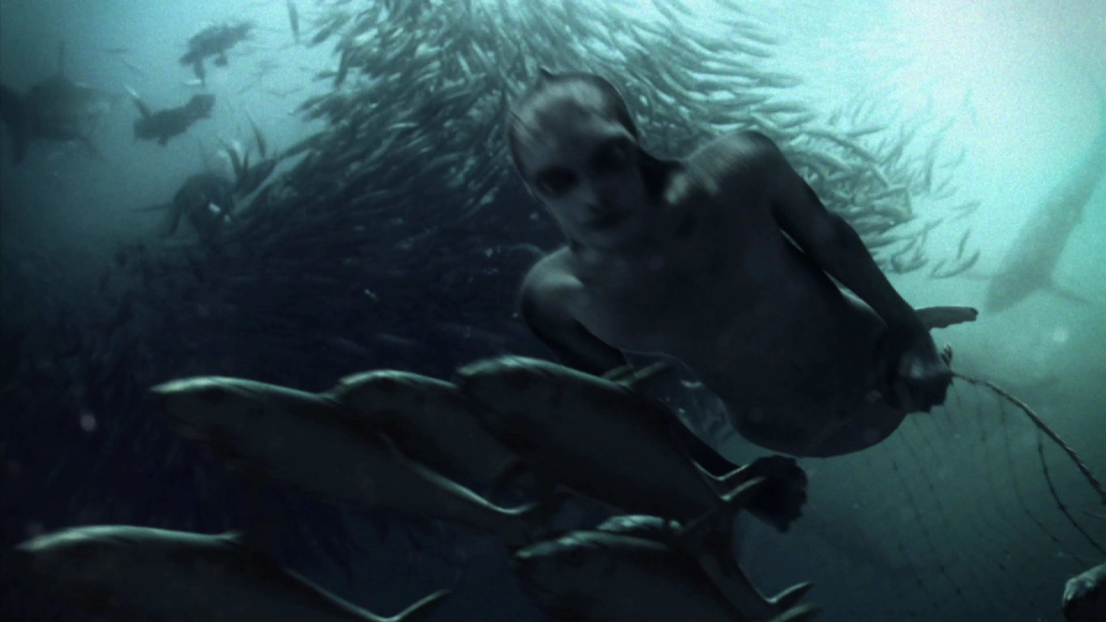 ¿Te gustan las sirenas?...Un poco de imagenes e informacion ¿Te gustan las sirenas?...Un poco de imagenes e informacion