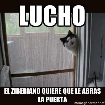 gracia