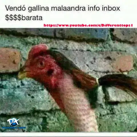 imagenes