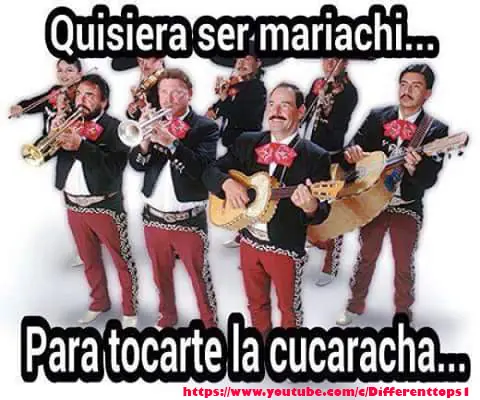 memes