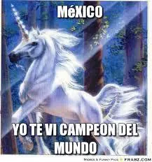 Lince, comenta como un campeón