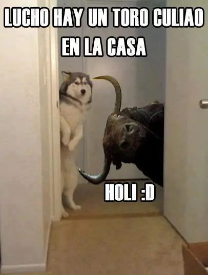 lucho