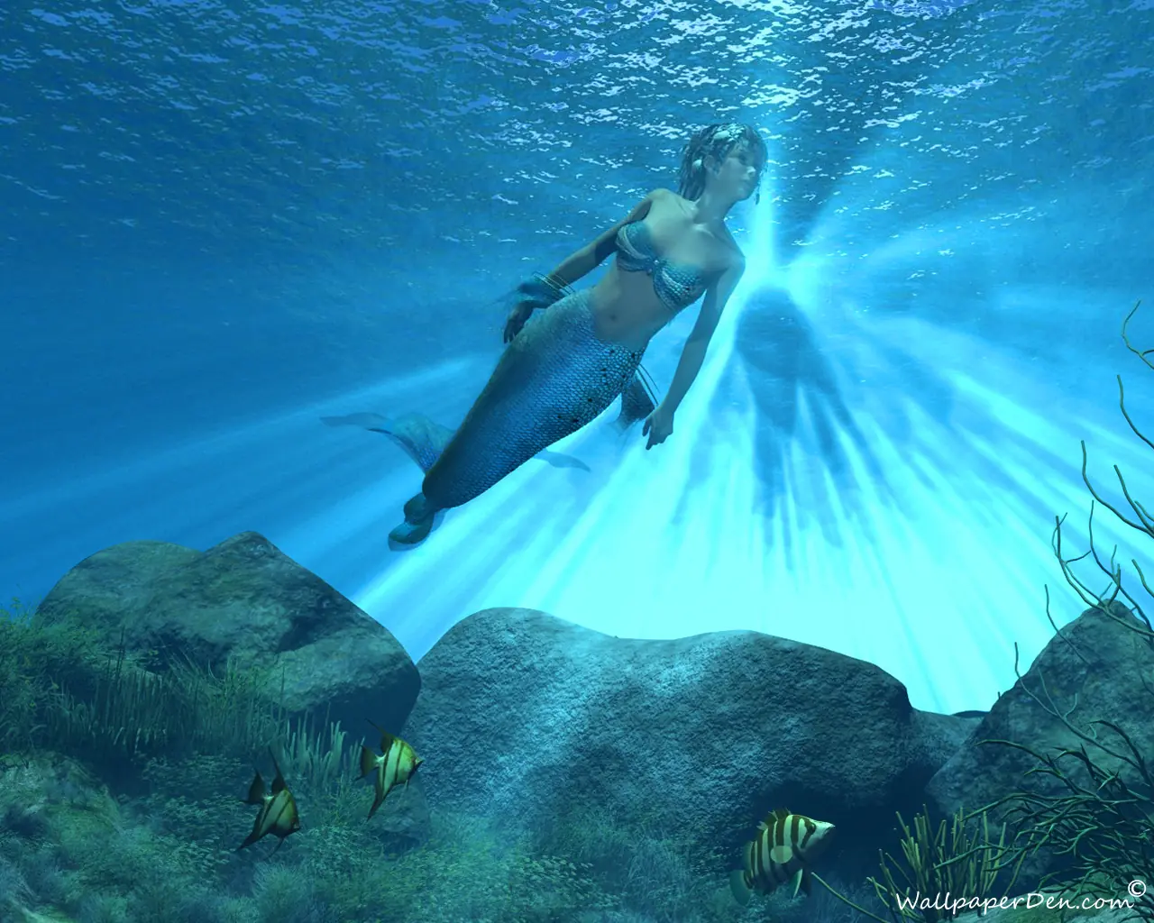 ¿Te gustan las sirenas?...Un  poco de imagenes e informacion