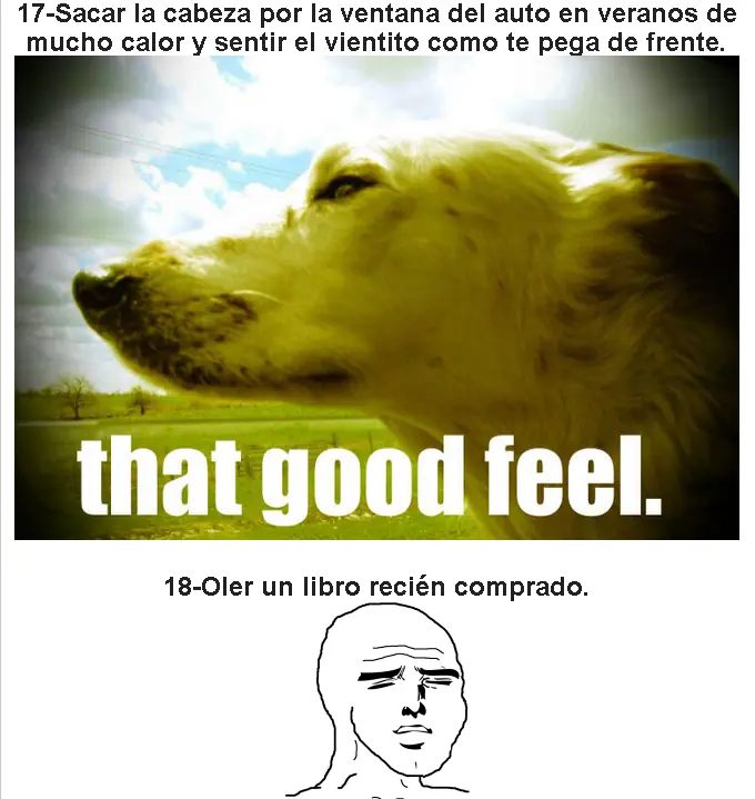 lindo