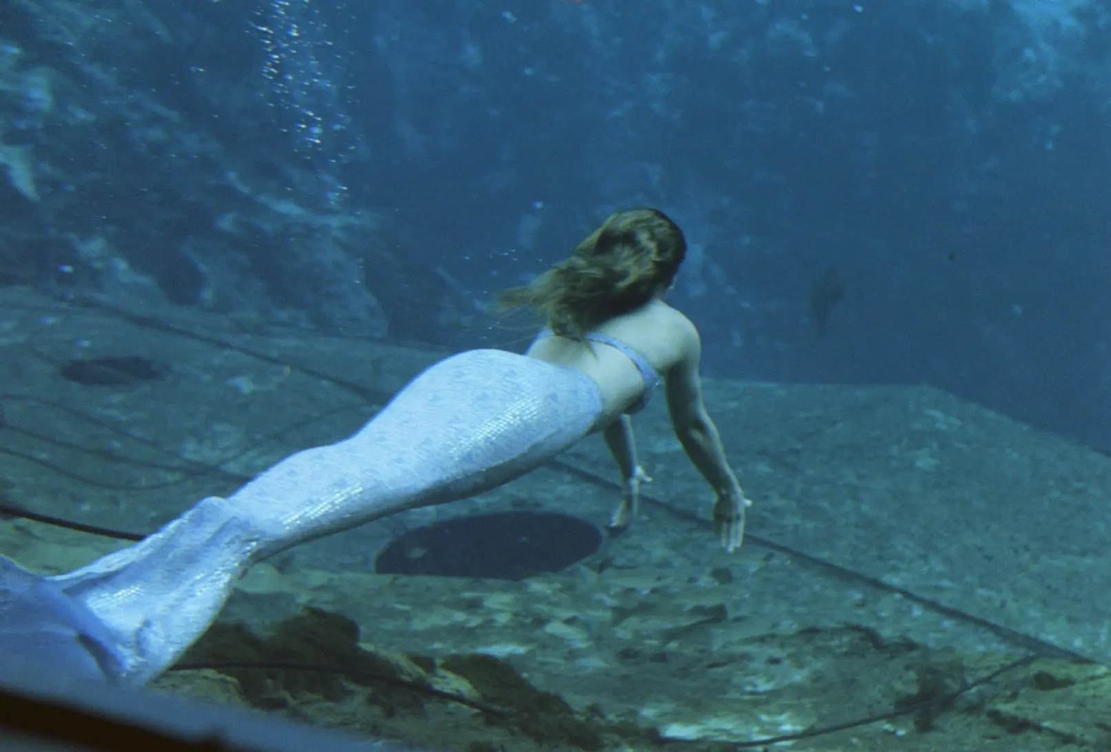 peliculas de sirenas peliculas de sirenas