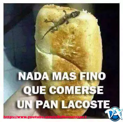 imagenes chidas
