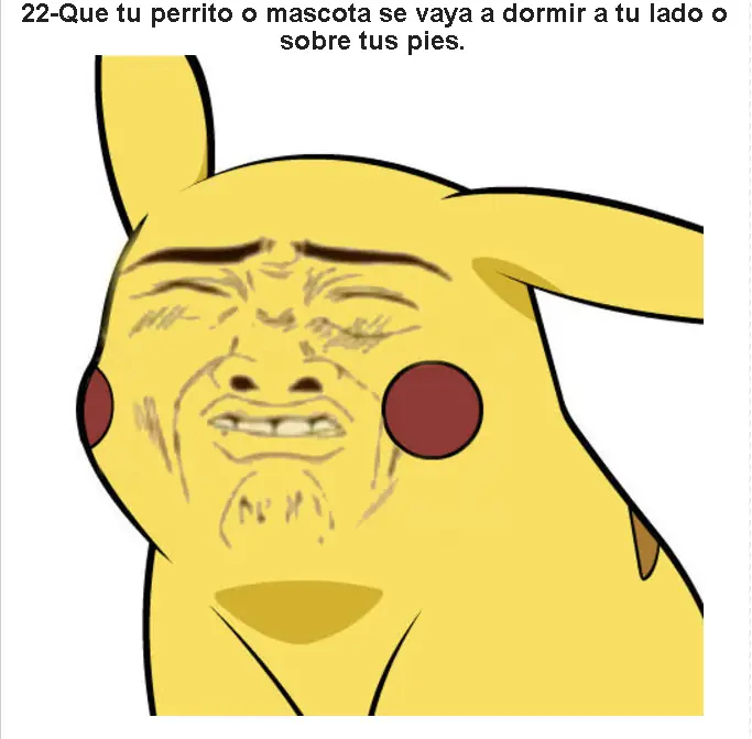 taringa