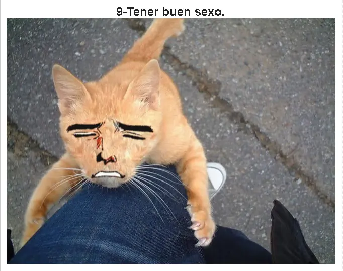 31 placeres de todo Taringuero.