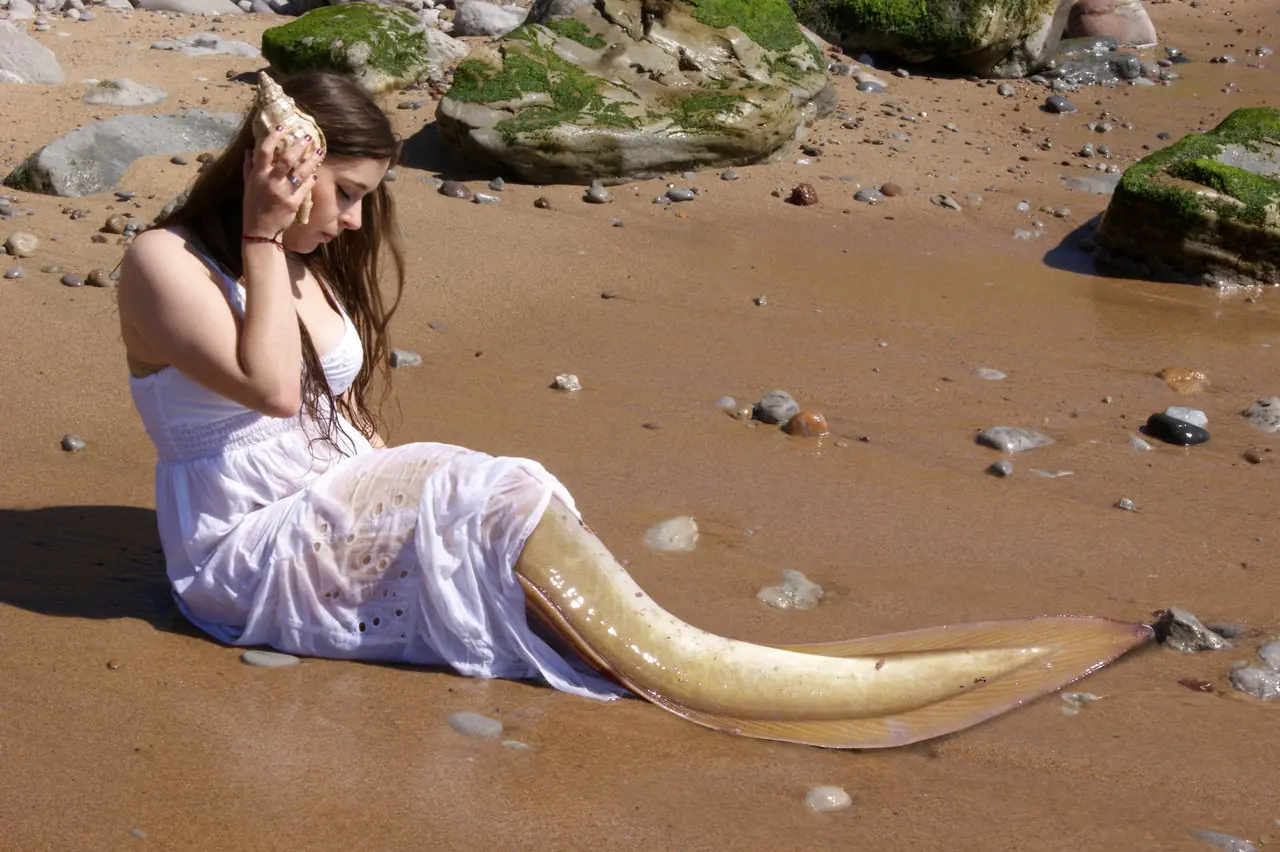 sirenas sirenas