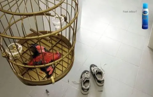 graciosas