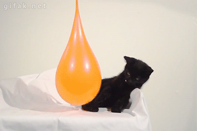 Gifs en Slowmotion