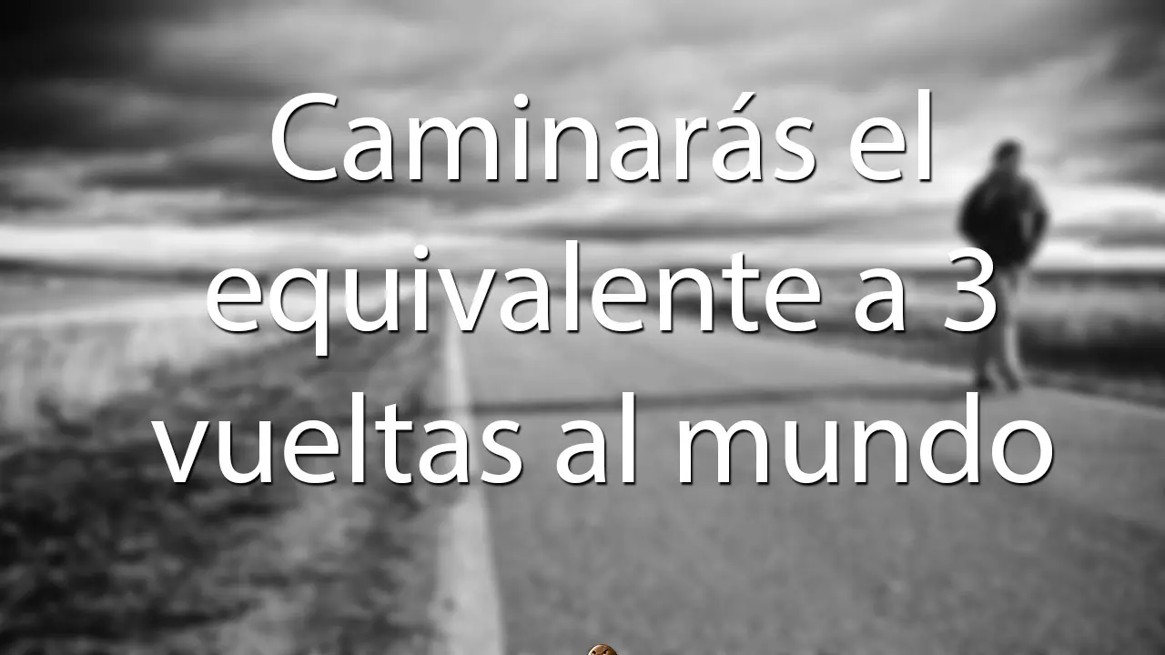 datos interesantes