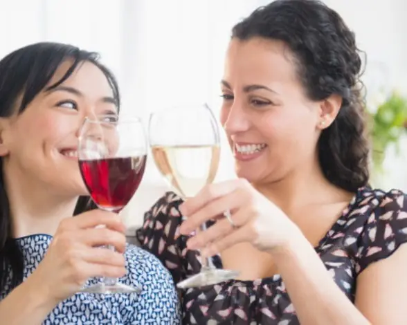 bebidas alcoholicas