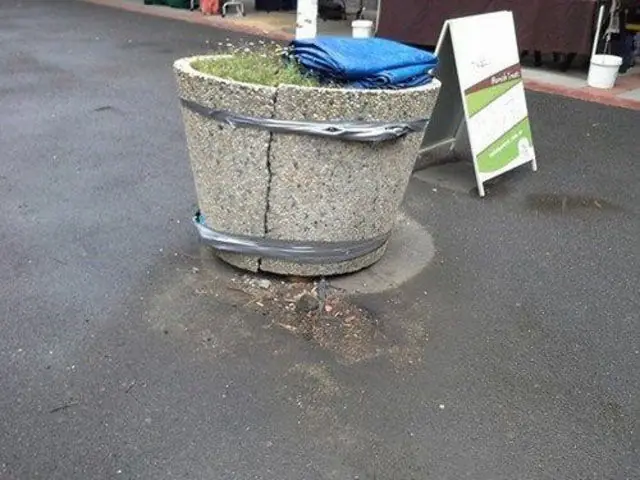 gracioso