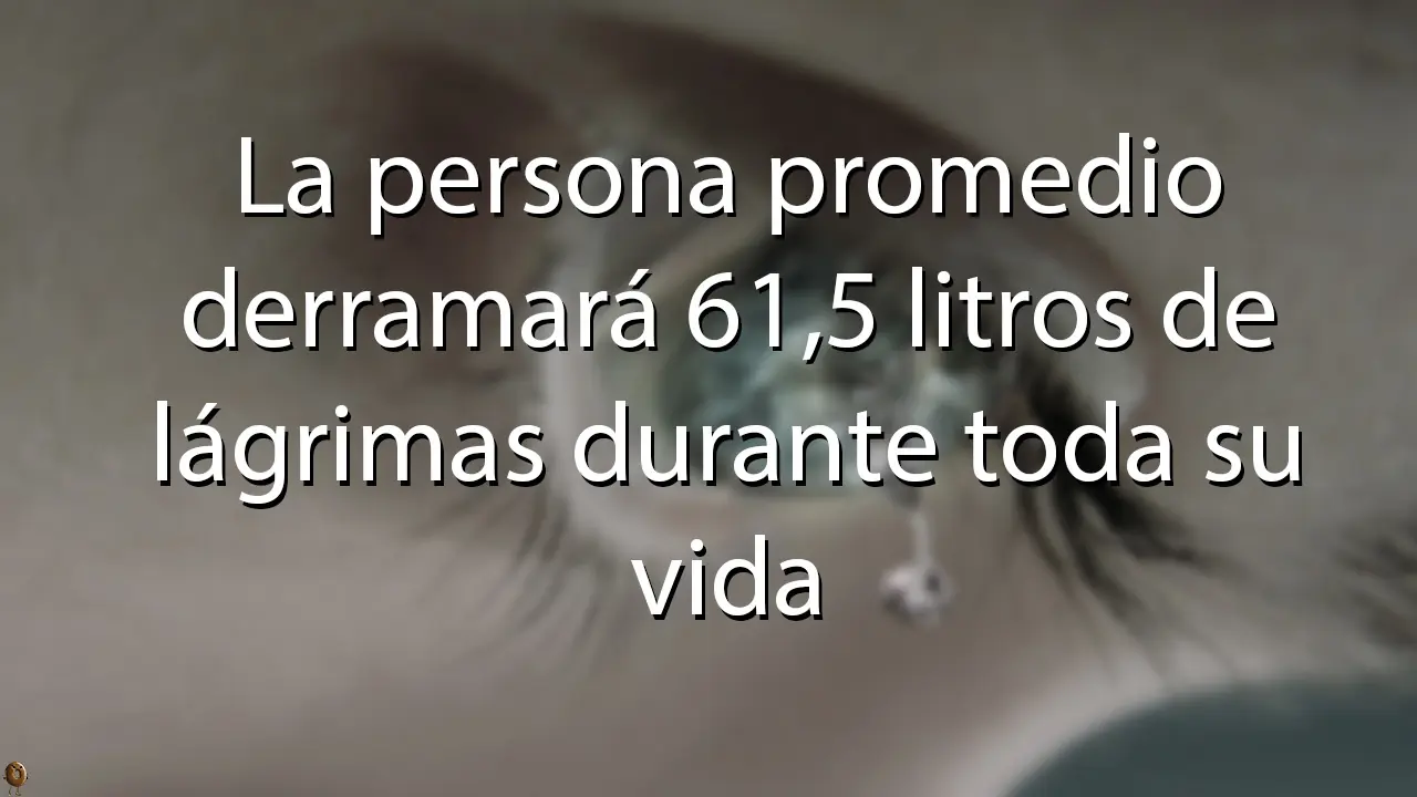 datos inter