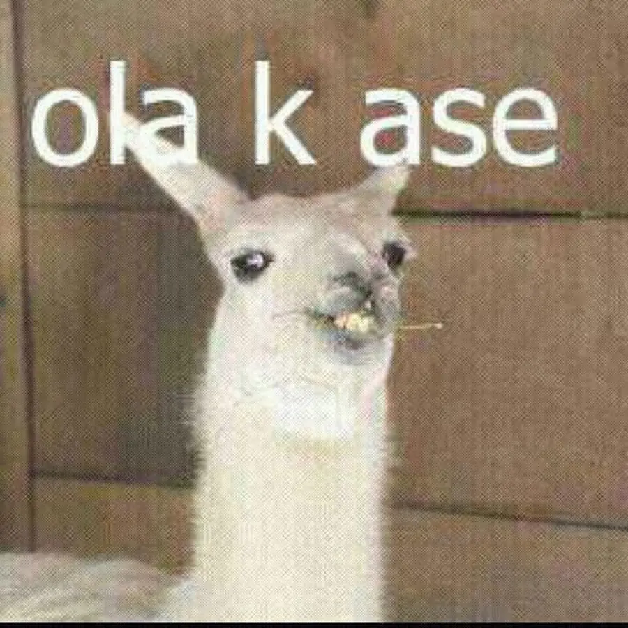 Conoce los nuevos memes que estan ganando fama en internet