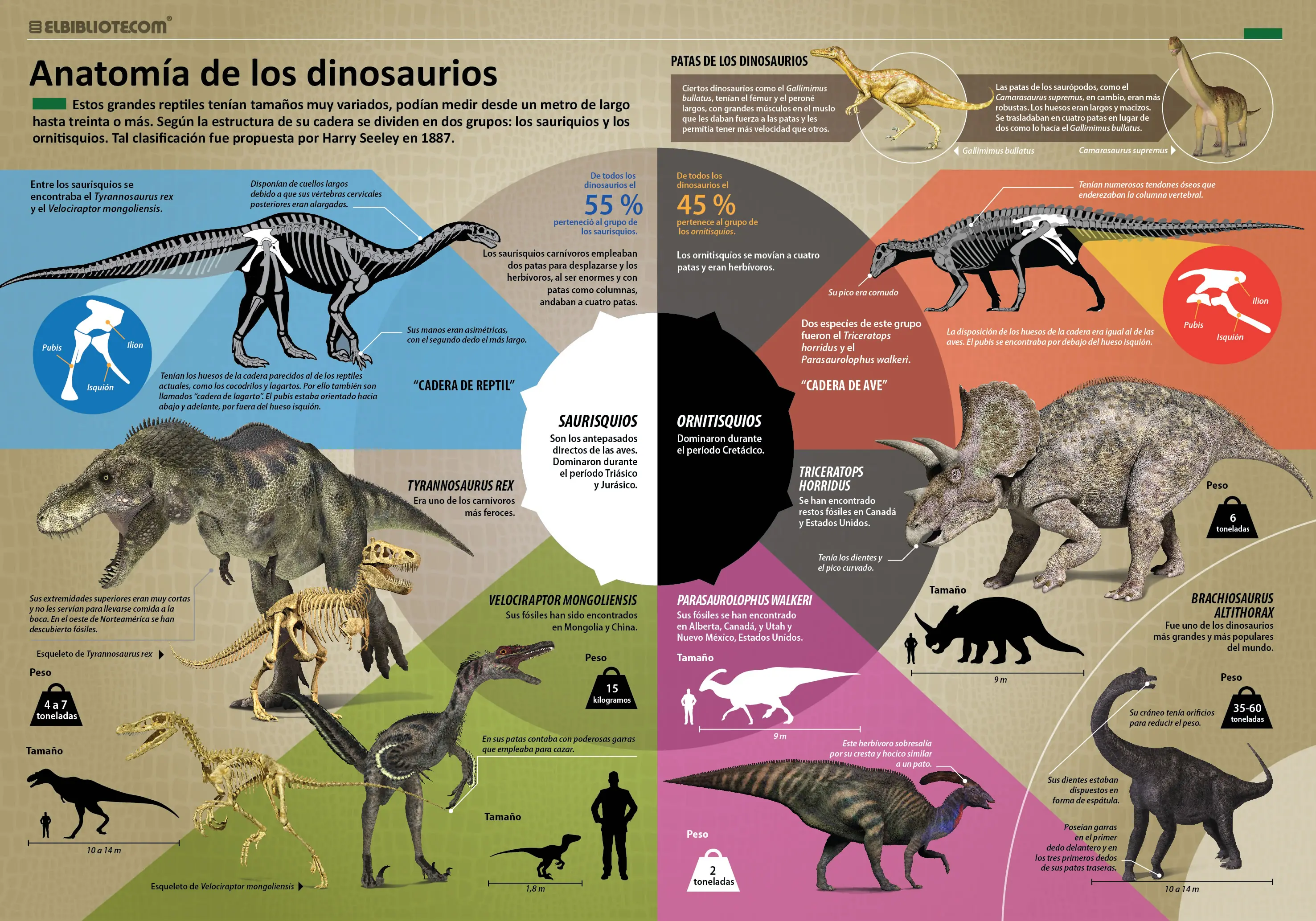infografias