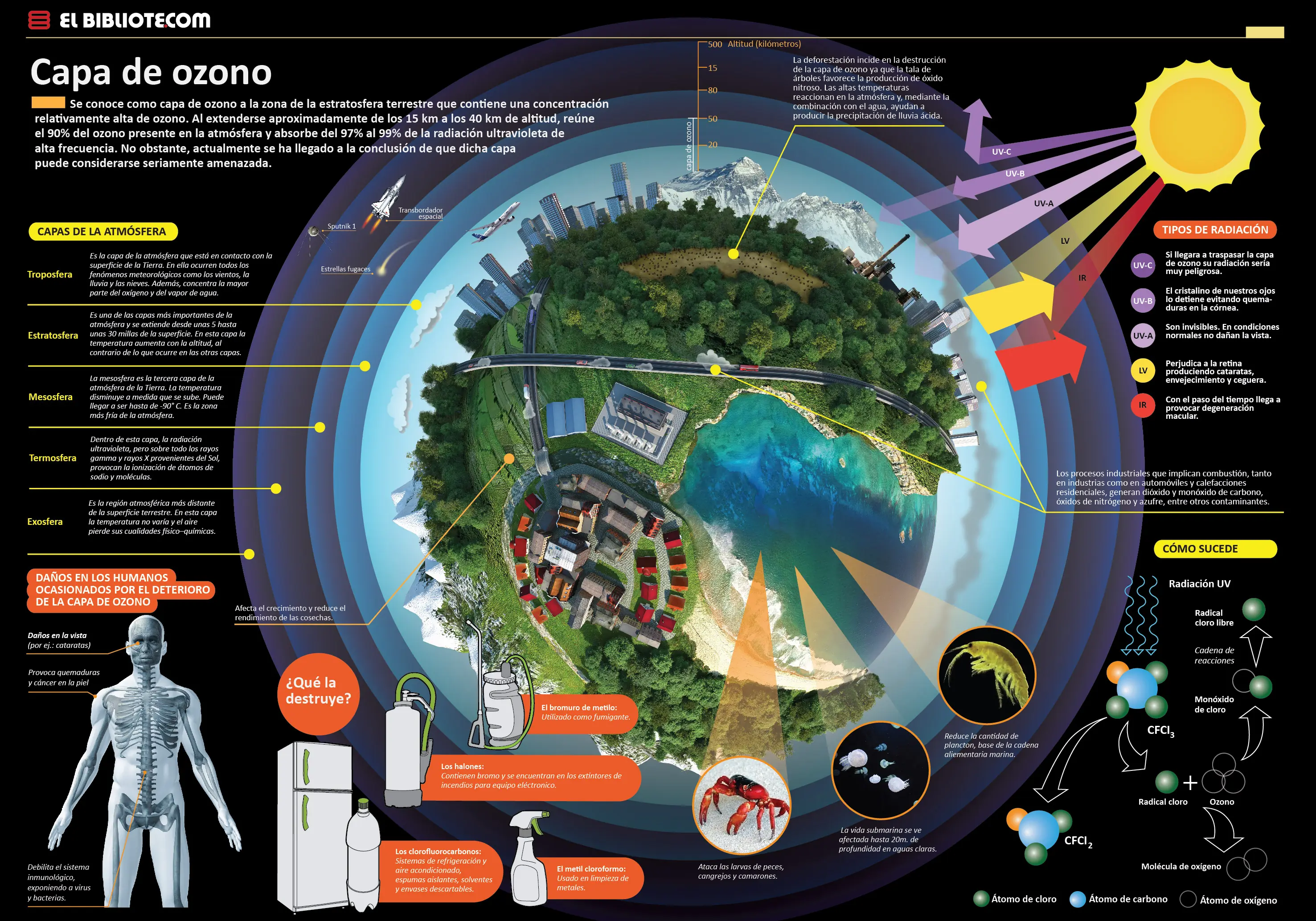 Infografias impecables "para tu hijo" lince maniat