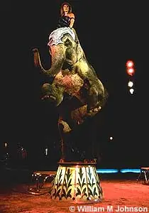 Circos si Pero sin animales.