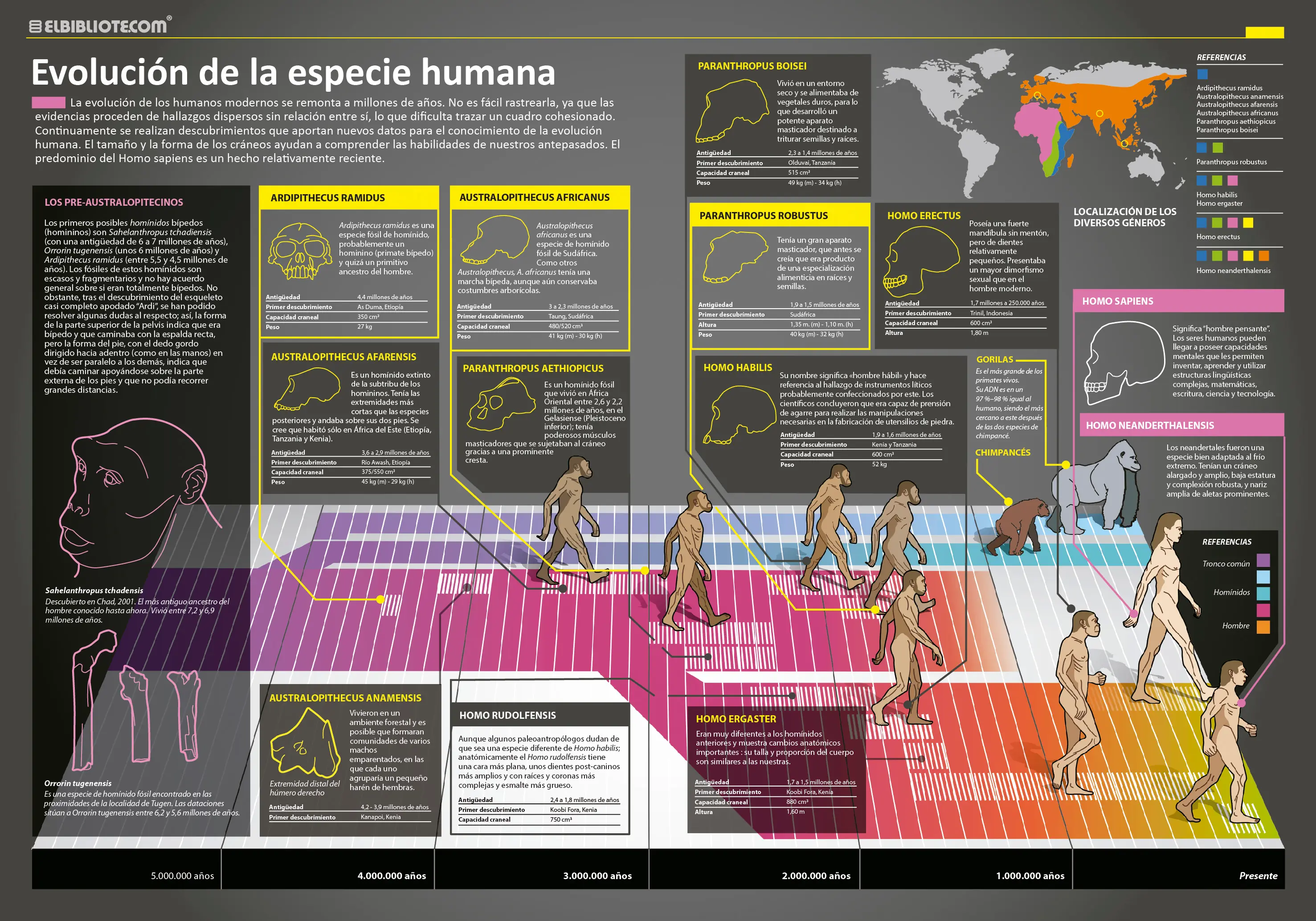 infografias