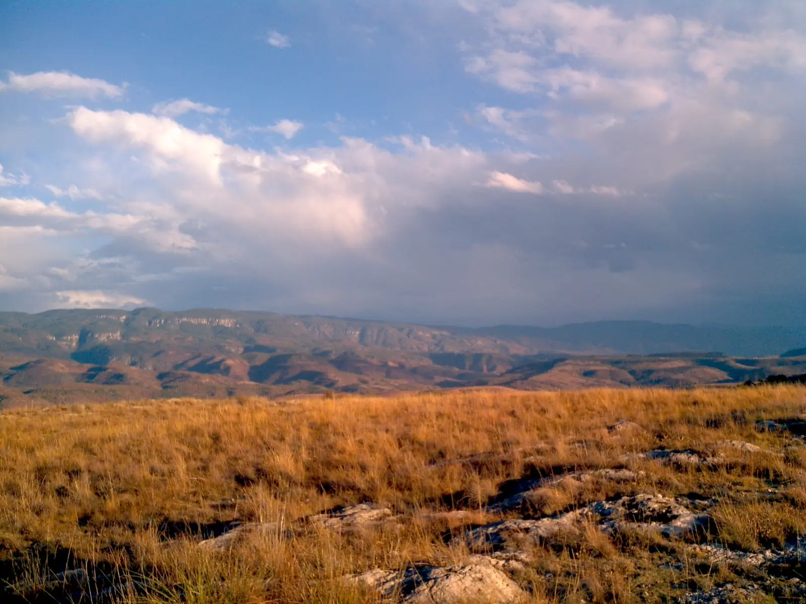 Huicholes