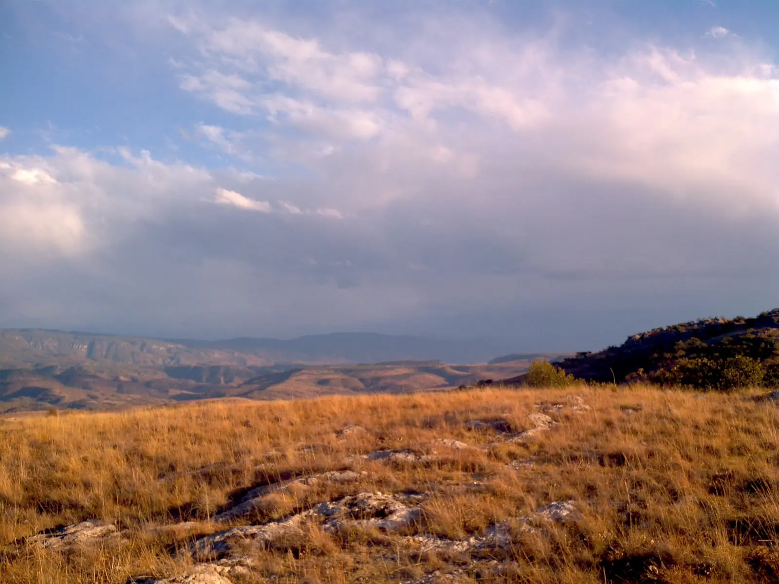 sierra huichola