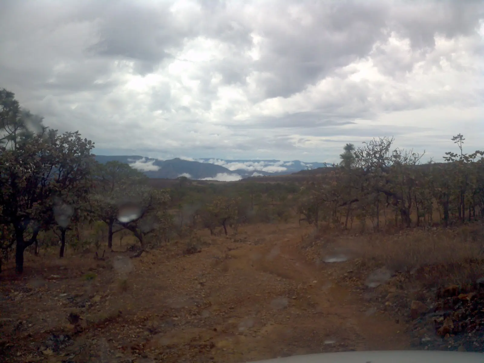 Huicholes