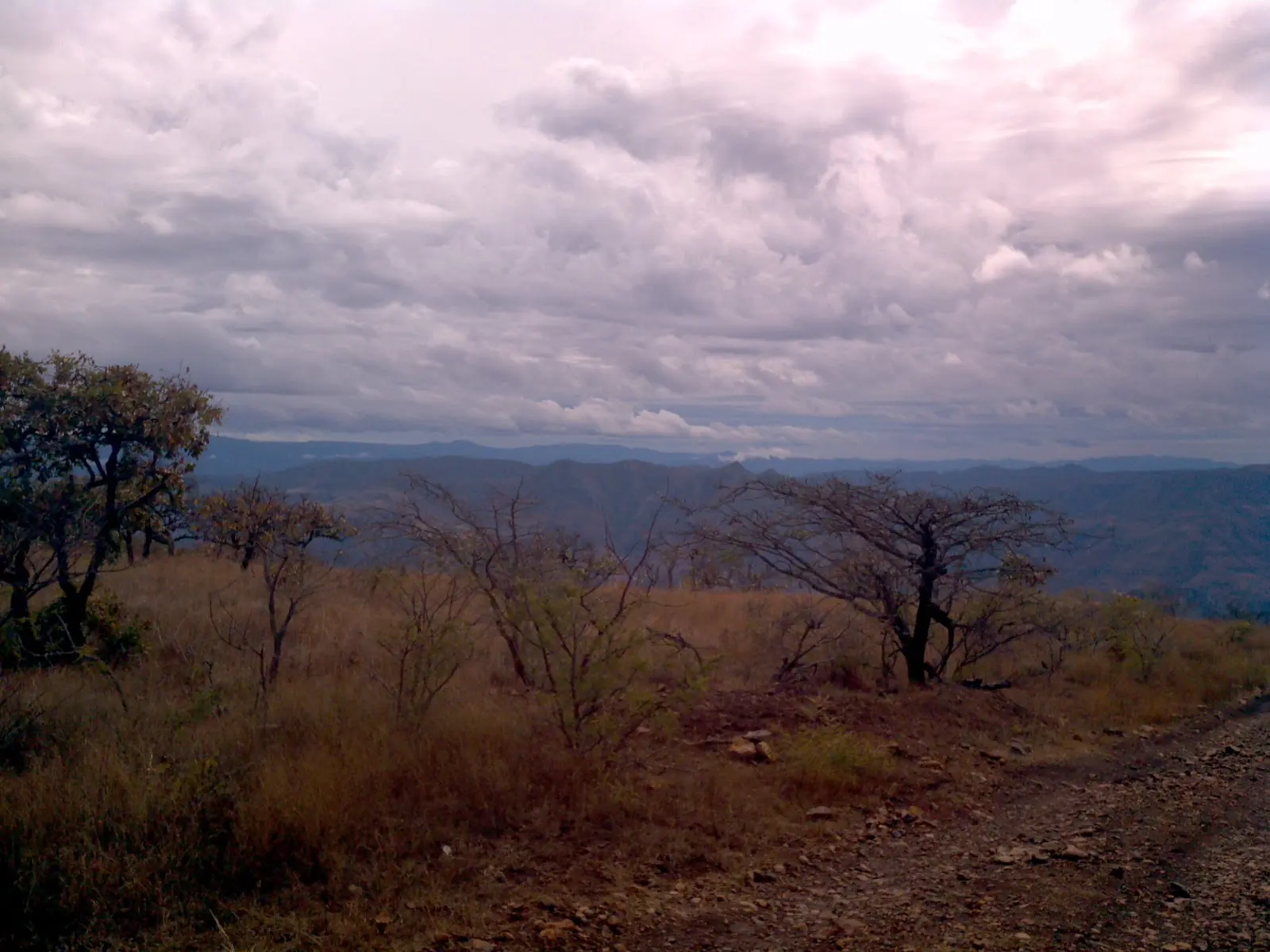 sierra huichola