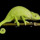 conceptos