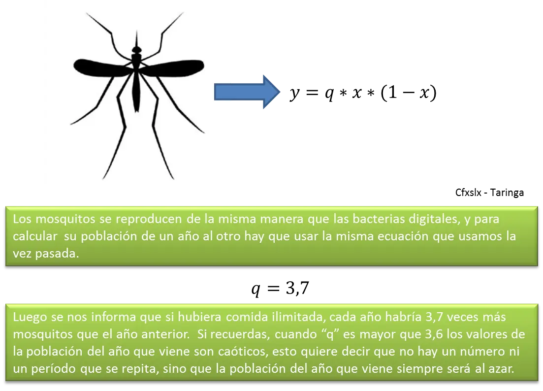 caos