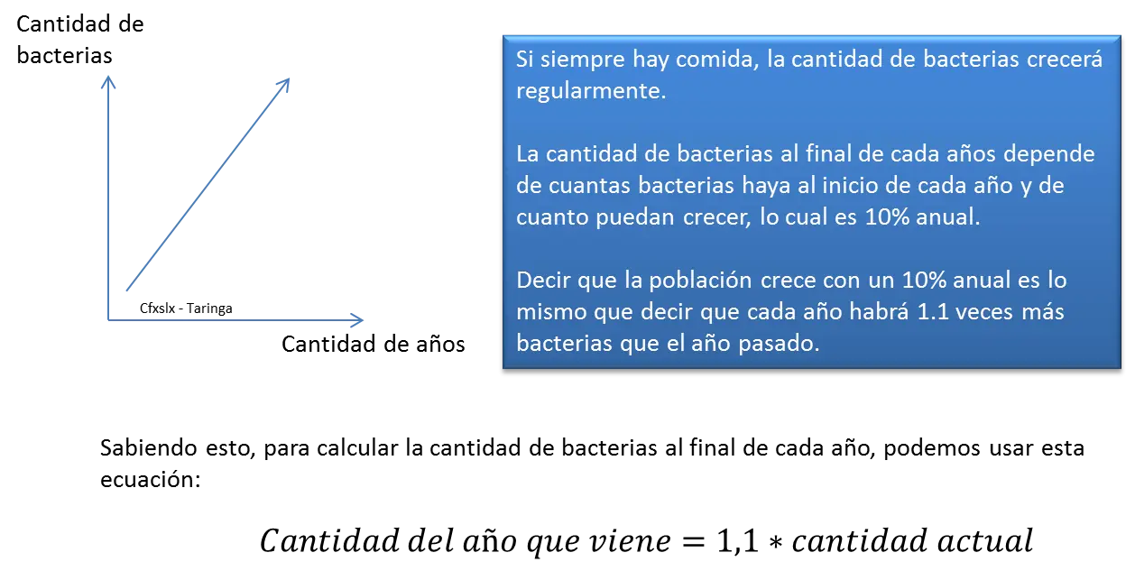 dimensiones