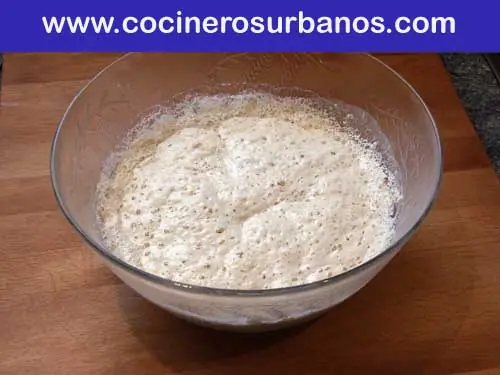 Receta de levadura madre o levadura casera para hacer el pan