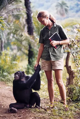 monos