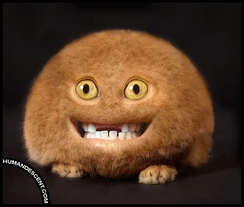 La Magia Del Photoshop En Animales