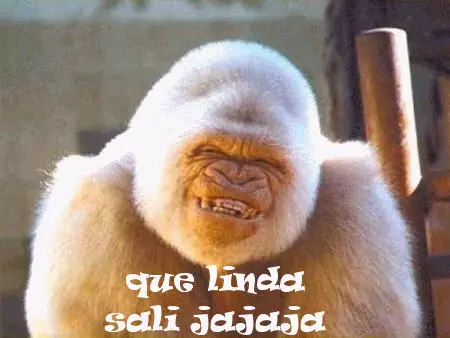 humor grafico