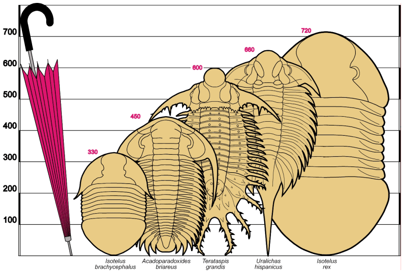 Dinosaurios