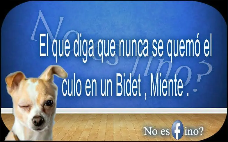 gracia