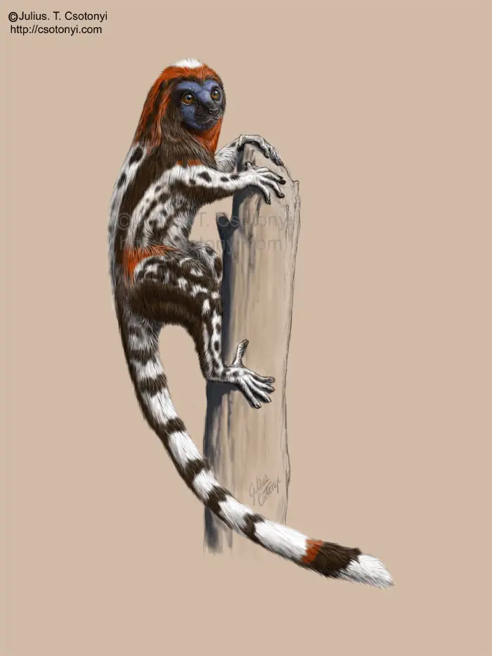 Dinosaurios